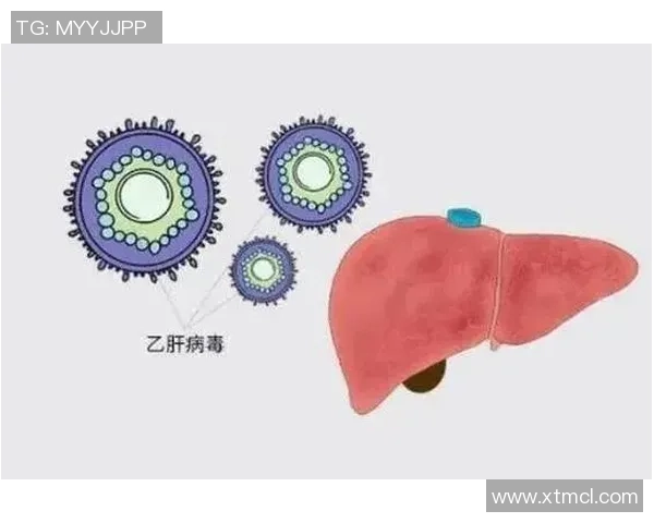 乙肝足球明星的奋斗历程与健康管理启示 乙肝足球明星的奋斗历程与健康管理启示