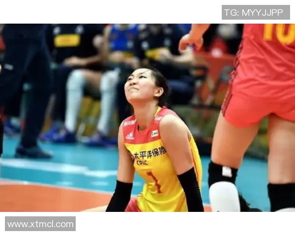 杭州排球队的节奏解析与深度剖析排球运动的魅力与挑战