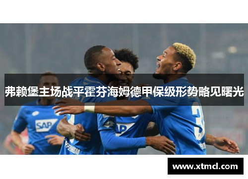 弗赖堡主场战平霍芬海姆德甲保级形势略见曙光