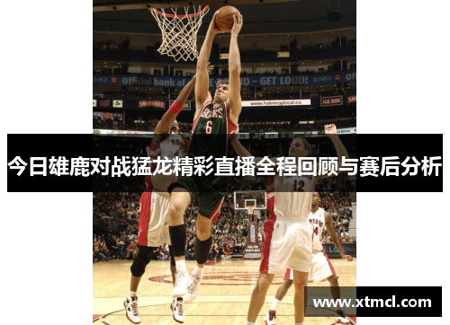 今日雄鹿对战猛龙精彩直播全程回顾与赛后分析